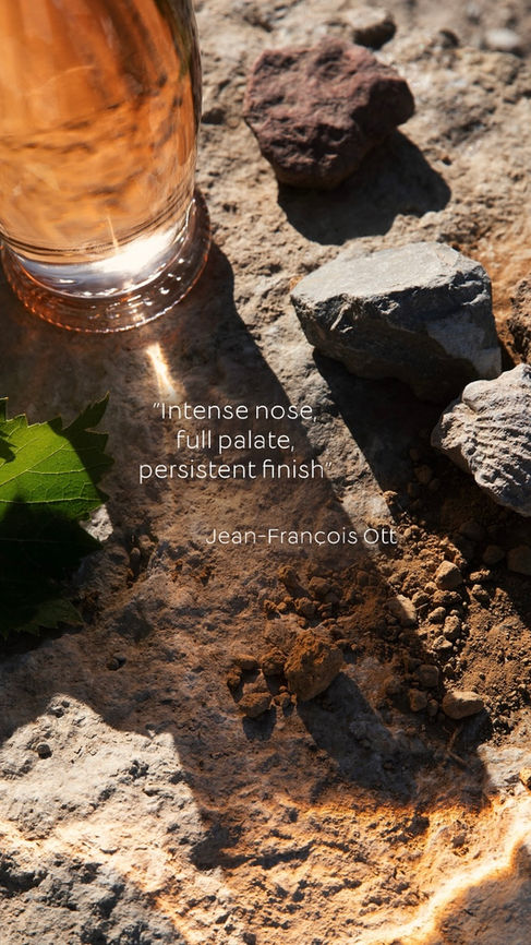 set design - domaines ott - fisheye manufacture - ateliernu - design floral - scénographie marseille