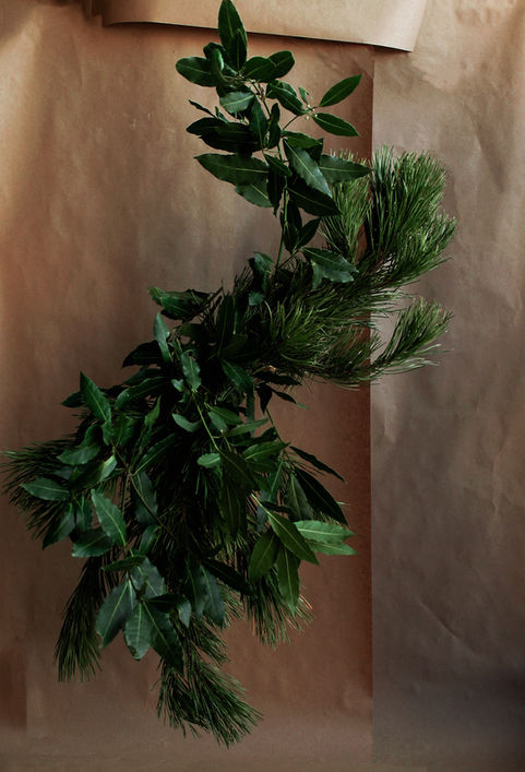 noel, hiver, scénographie floral, design floral, set design, photographie hivernal, ateliernu designer floral, marseille