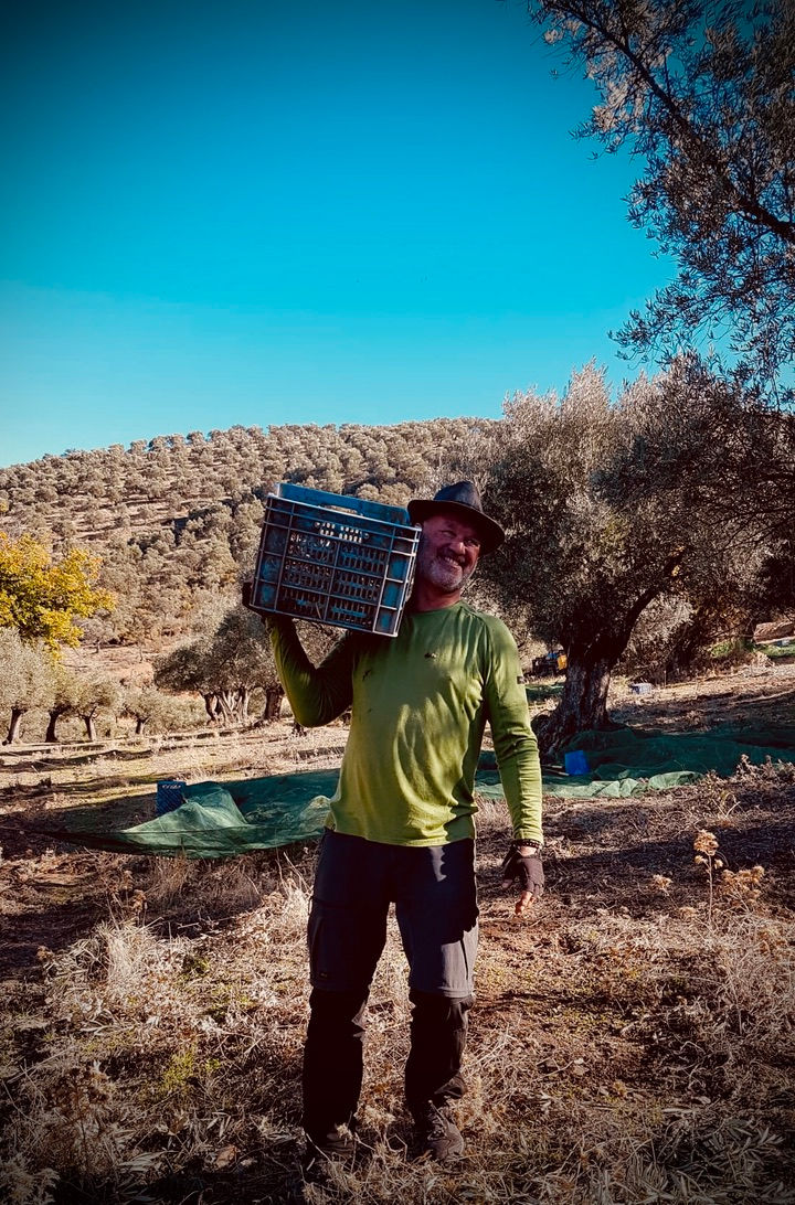 Thumbnail: Adopteer een olijfboom en ontvang 3 liter biologische olijfolie bij de oogst (€ 21/L)