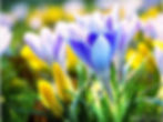 Spring Silent Retreat