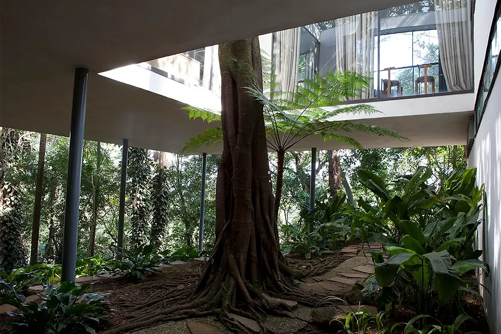 Glass House, São Paulo.