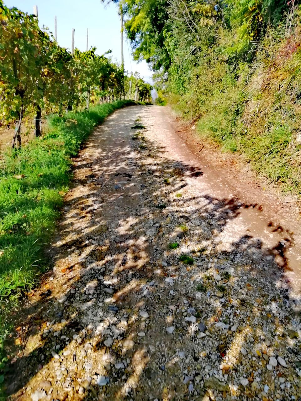 Miniatura: Ruta Patavina   Ebike Tour