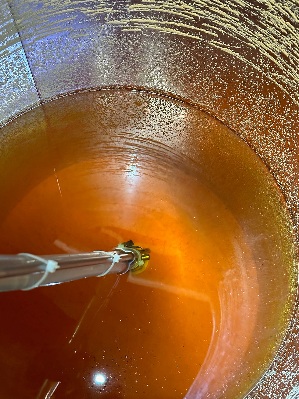 Miniaturbild: Solaris X dessert 2022