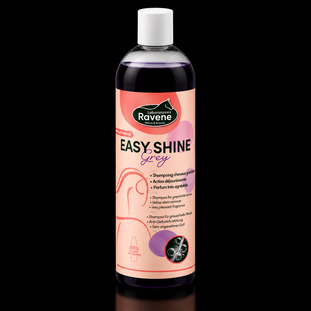 Easy Shine Grey Shampoing