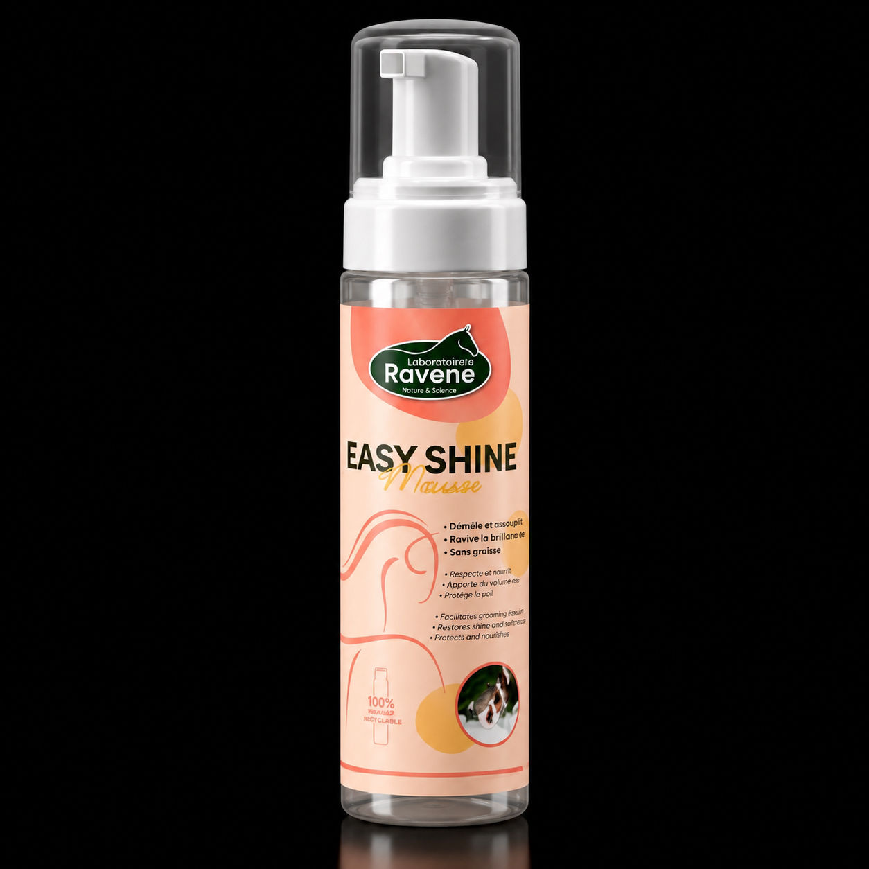 Easy Shine mousse 