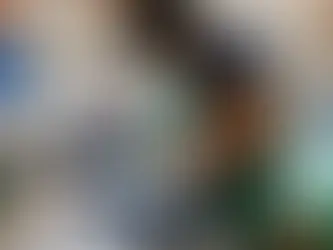 EDUCAÇÃO BRASILEIRA: O SABOTAR DO INTELECTO