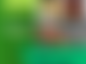 CORRIDA DA RECICLAGEM