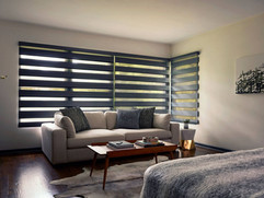 A beautiful room with natural light streaming through zebra printed window blinds, adding a unique touch of pattern and texture to the space.