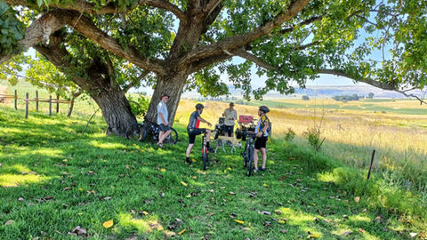 cyclists resting in the shade of a tree