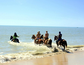 reggae-horseback-riding.jpg