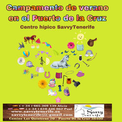 Campamentos para niños en Tenerife Norte