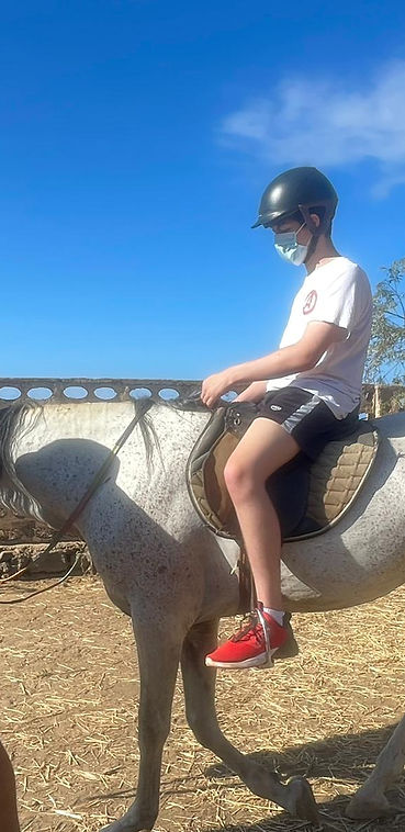 Equinoterapia en Tenerife
