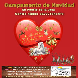 Campamento de Navidad Tenerife