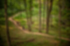 20200807_REC_MTB_409.jpg