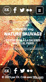 Design website templates – Artiste Moderne