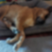 PXL_20240116_155746867.MP.jpg