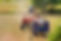 agriculture-5157184.jpg