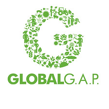 Global+Gap_edited.jpg