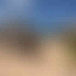 a girl (Petra Grobenski) posing an outfit with Zimmermann Goldentime Small Fringe Tote beach bag in the Caribbean