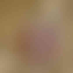 Vegan Easter Bread, Pinca