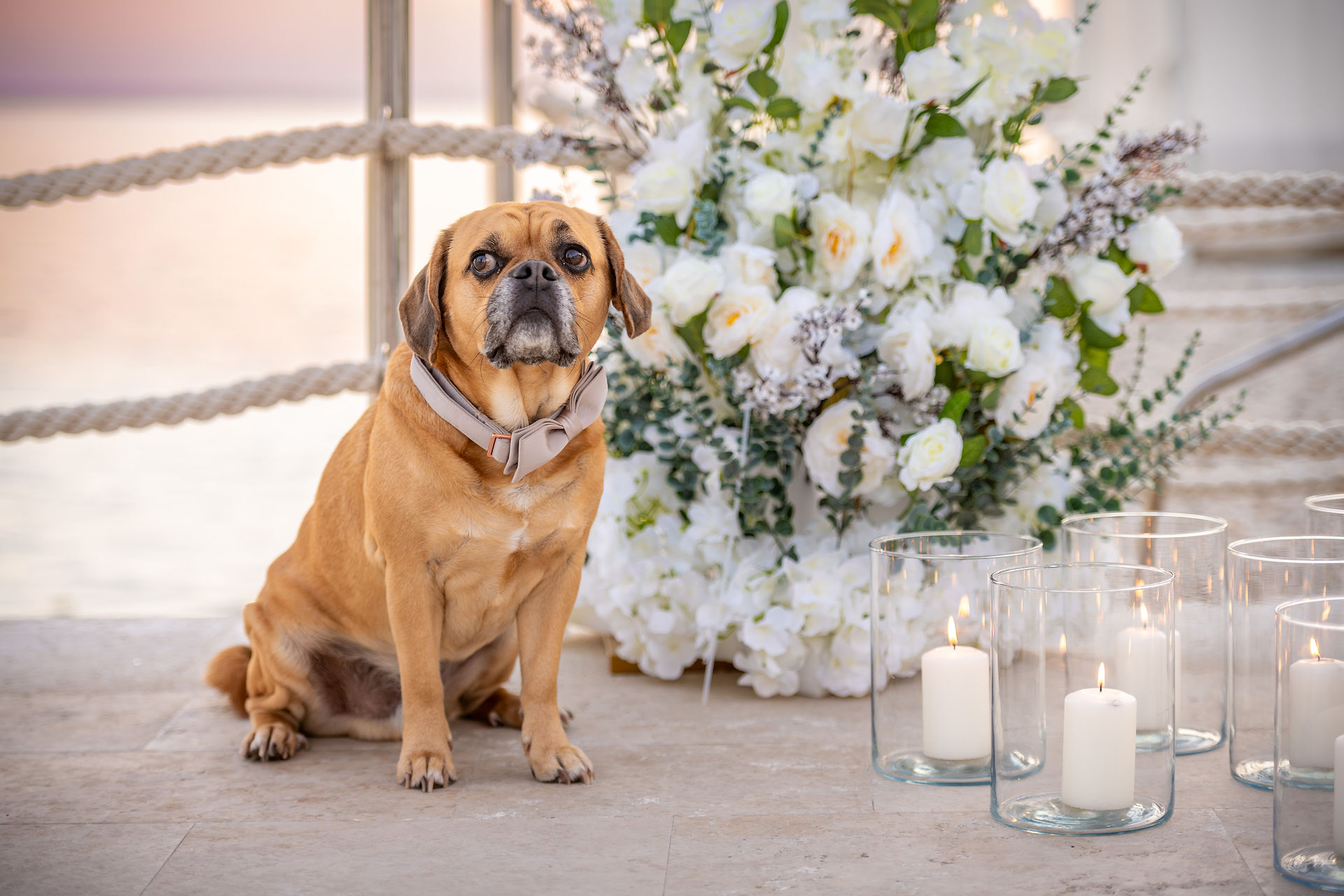 Wedding anniversary event planner Pula Croatia