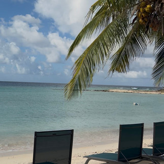 Sparrow's Beach Club in Union island, sunbeds under a palm tree