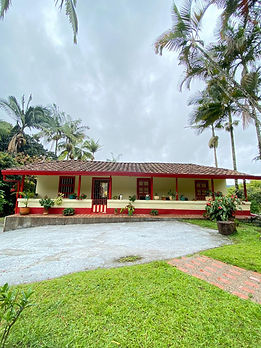 Ferme du cafe Camelia