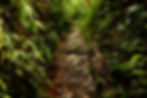 Trekking
