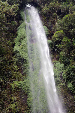Cascade de 70 mètres-Otun Quimbaya