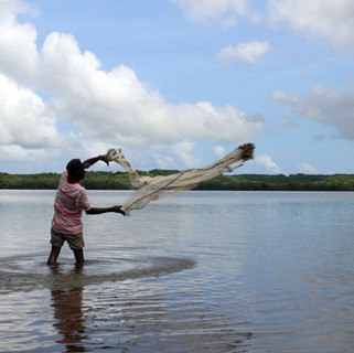 Pêche artisanale à La Boquilla