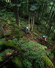 Mountain Bike Monday Ride