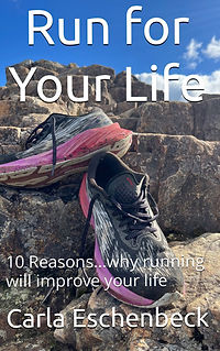 Rocky Lookout, Tararua Range, New Zealand