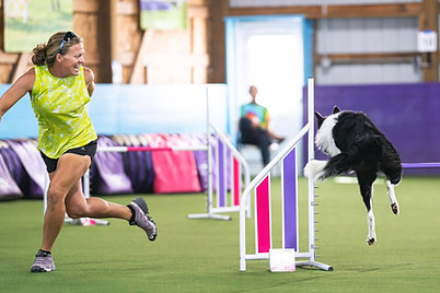 International Handling