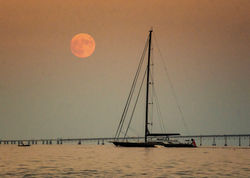 Sailing Moon