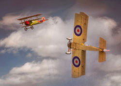 Dogfight
