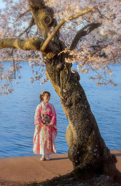 cherry Blossom Lady