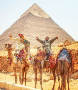 Camel Riders