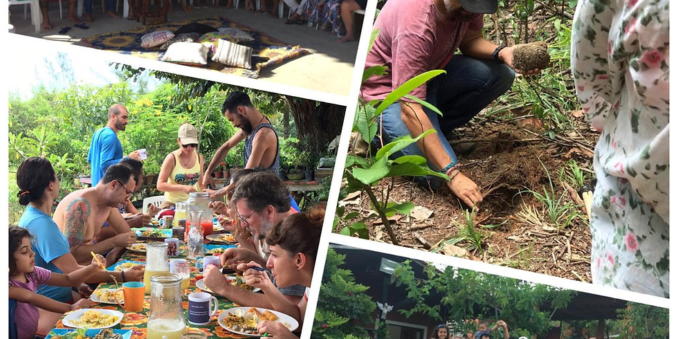 Agroecologia com imersão em Inglês