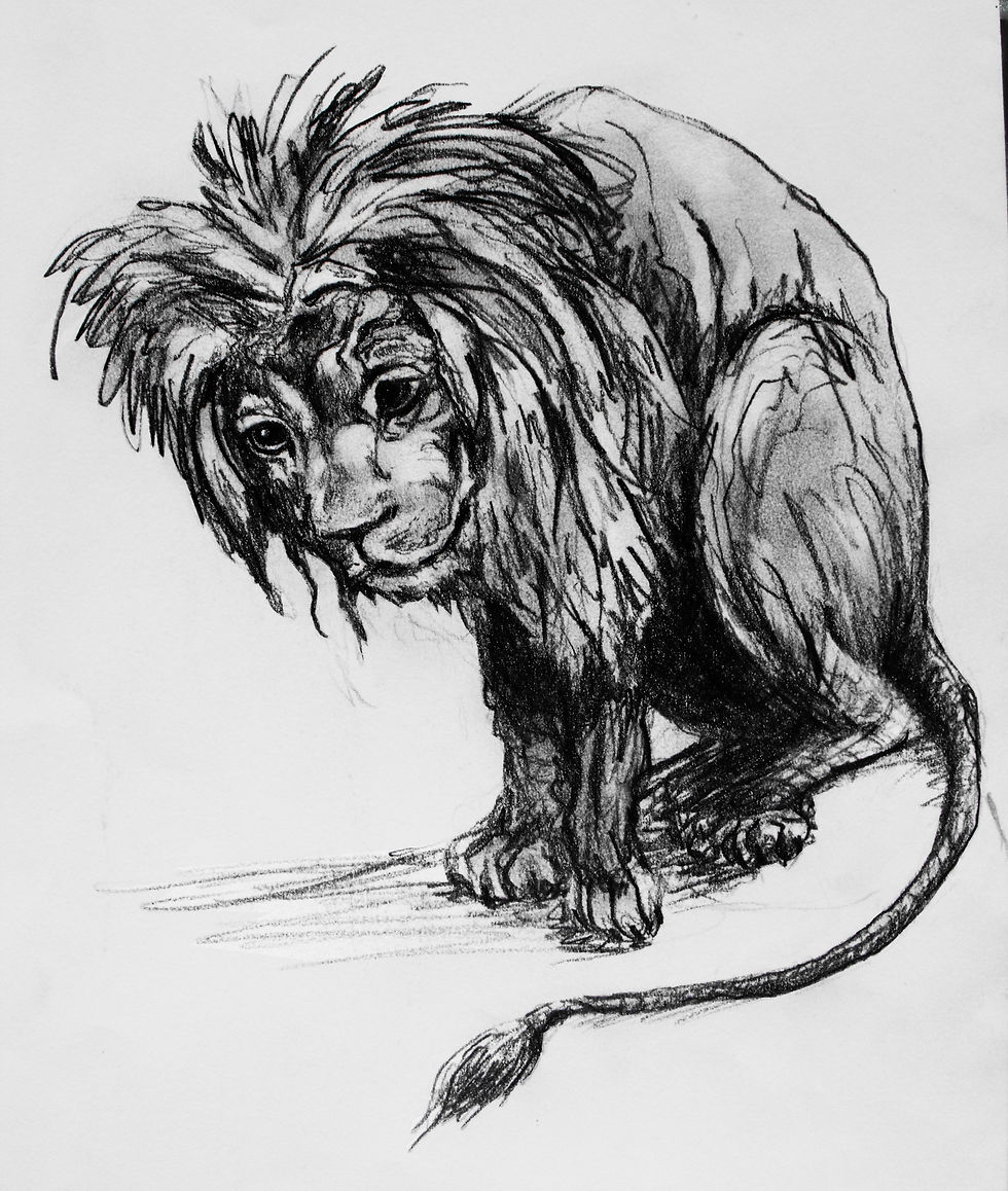 Féroce timidité... 2011