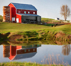 Bright Sunny Morning