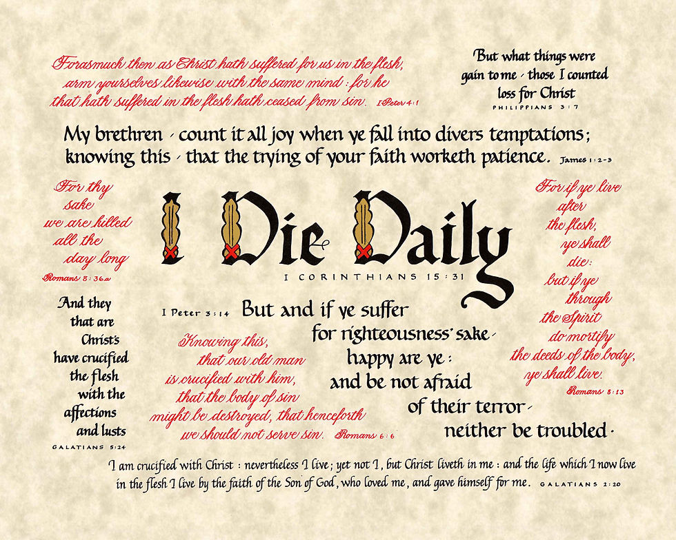 I Die Daily (Downloadable)
