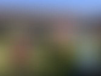 Adaptation Week for Batch 46 at The Learning Farm