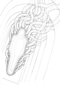 DSC0231-2-726x1024.jpeg