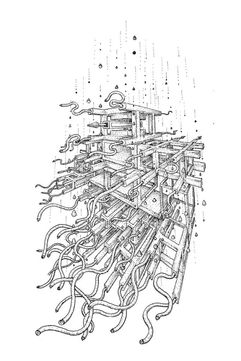 fungispirit-684x1024.jpeg