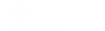 TIES Security Training