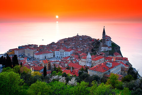 PIRAN.jpeg