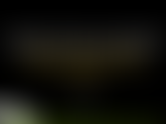 Content That Converts: What Every Soccer Academy Should Post Online