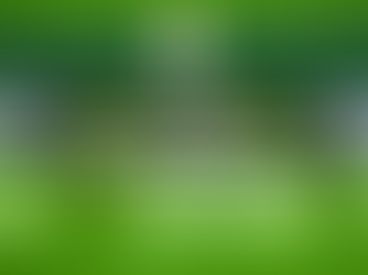 How to Look Professional and Trustworthy in a World Cup Year