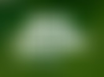 OTO Digital Solutions' Digital Strategies Soccer Academies Learned About Growing Online in 2025