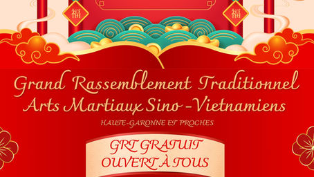 Grand rassemblement des Arts Martiaux Vietnamien à Labarthe-sur-Lèze